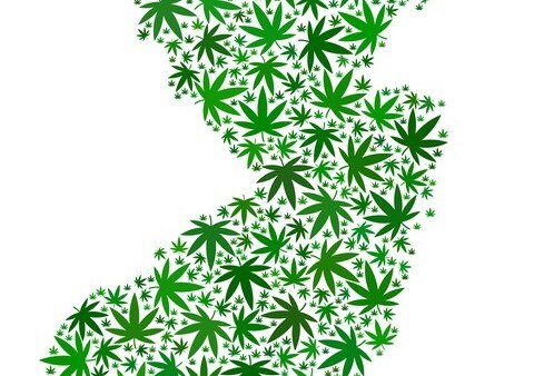 Decriminalization & Legalization of Marijuana in New Jersey – Status Update