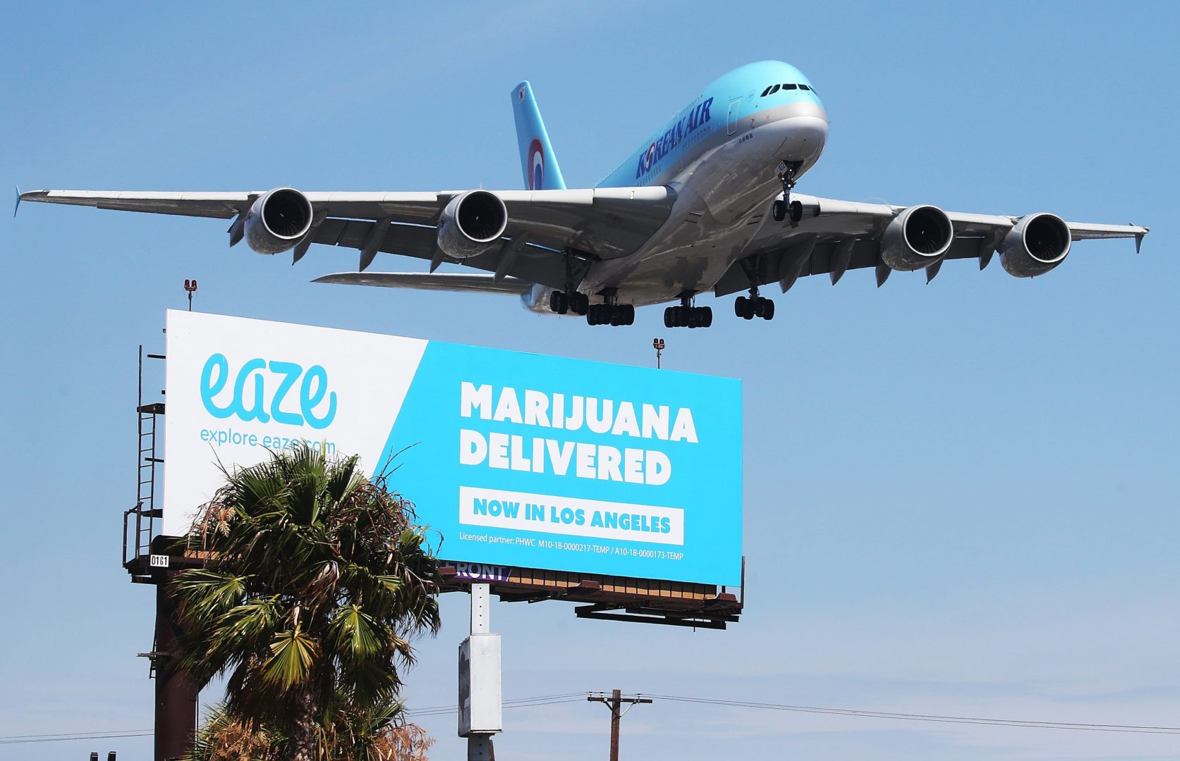 A Korean Air plane flying low over an Eaze marijuana delivery billboard in Los Angeles