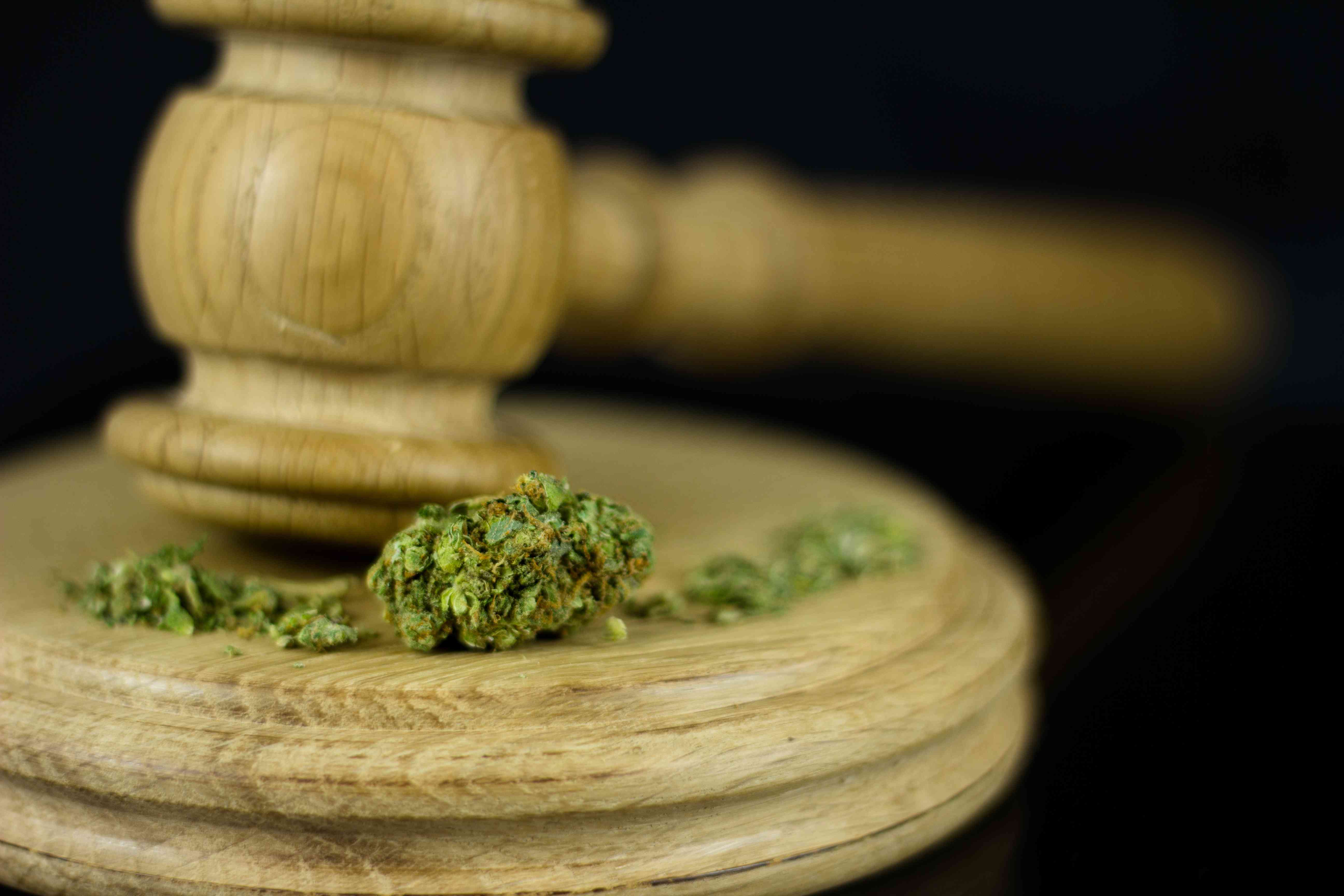 Marijuana bud sitting on a legal sound block with a blurred judge's gavel, symbolizing cannabis law and legislation