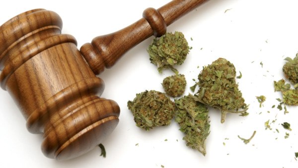 What You Need To Know Right Now About Legal Marijuana in New Jersey